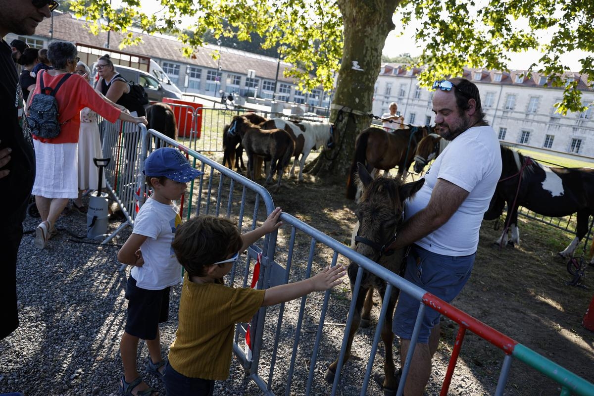 Bayonne: Pottoka Eguna nadal stawia Pottok w centrum uwagi