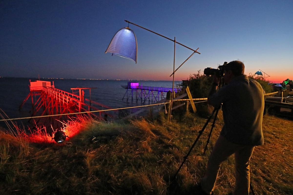Charente-Maritime: Gece her şey daha güzel