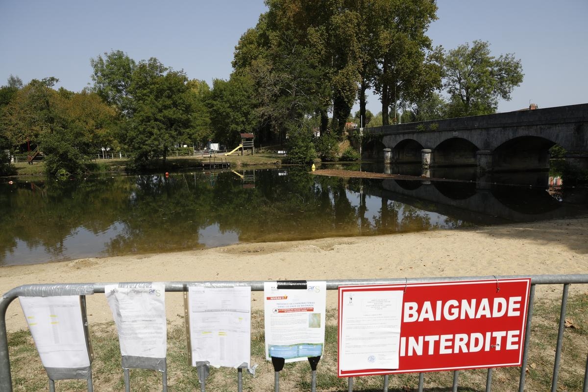 "Als het zo doorgaat, gaat de camping dicht": cyanobacteriën, het gif van de zomer in deze hoek van de Dordogne