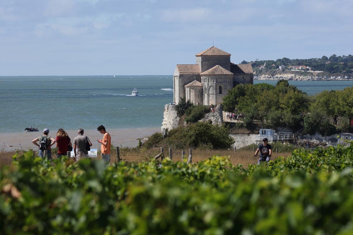 Wine tourism: the Explore Cognac brand validates ten new good addresses