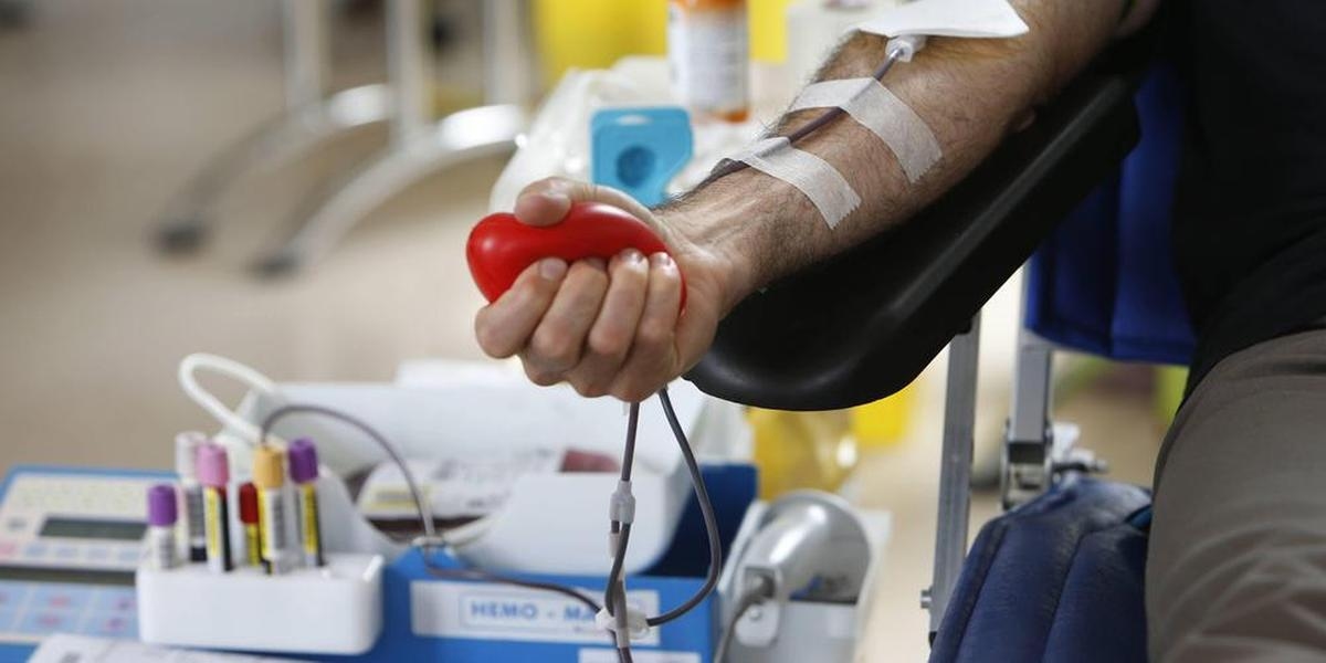 Donación de sangre: EFS eliminará de sus archivos los datos que mencionen relaciones homosexuales
