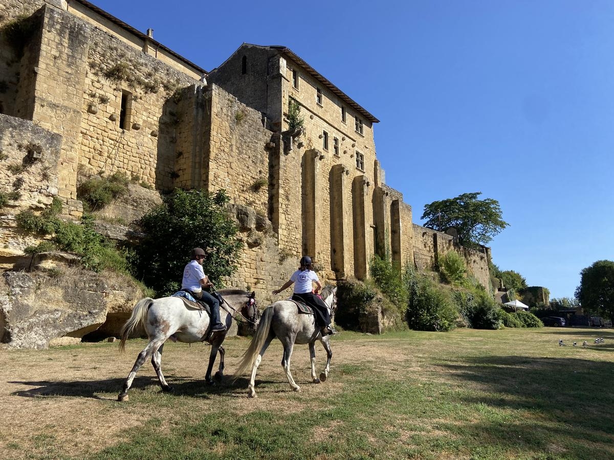 “It’s a great idea to bring everyone who loves horses together here”: a unique festival dedicated to horses in South Gironde
