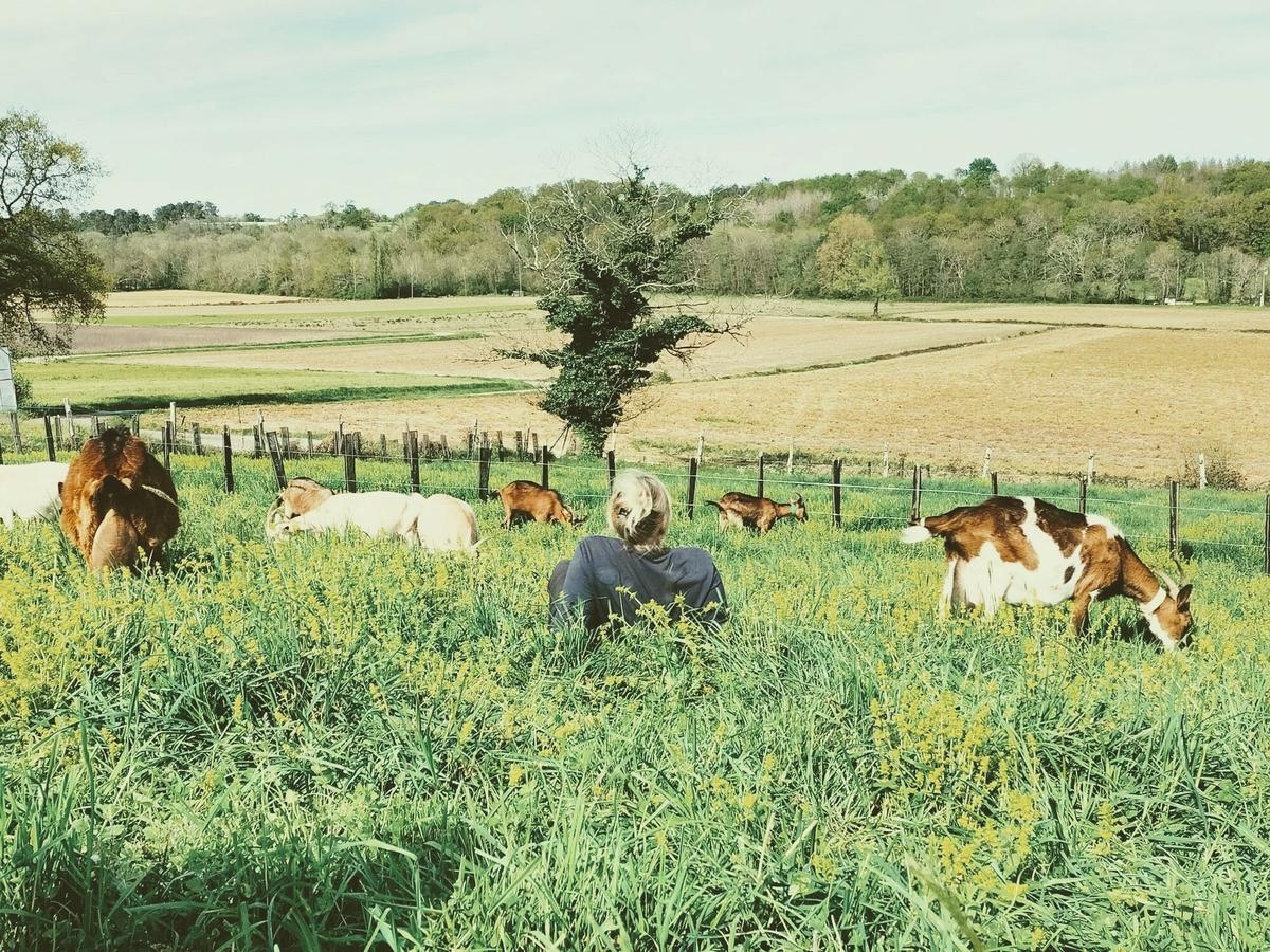 “Uma experiência humana gratificante e muito enriquecedora”: wwoofing, outra forma de descobrir as Landes e os seus agricultores