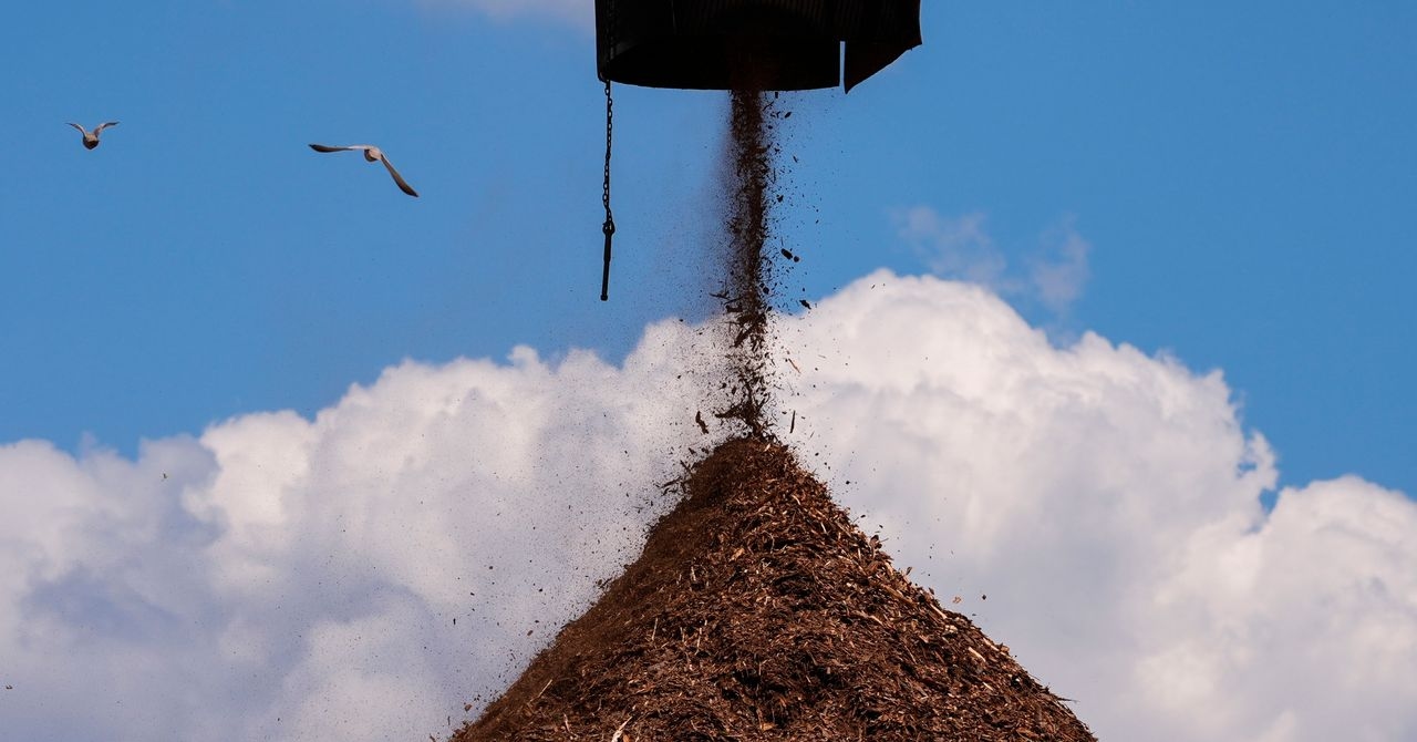 Las fábricas de pellets de madera son propensas a incendiarse. ¿Por qué construirlas en California?