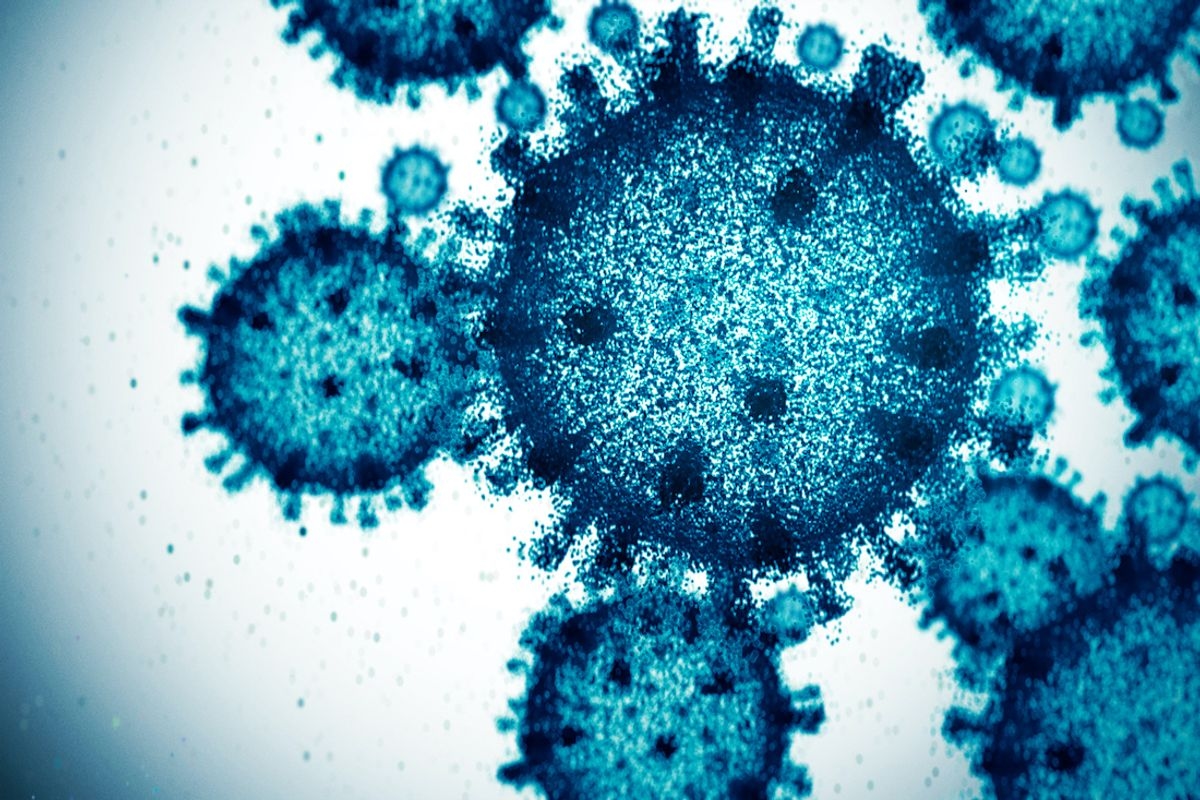 È ora di fare amicizia con i tuoi virus