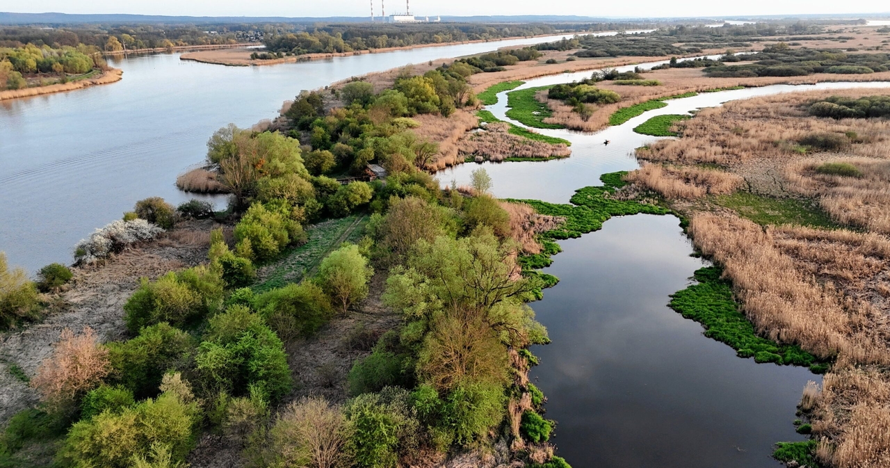 Los planes para crear el primer parque nacional nuevo de Polonia en 24 años avanzan tras la aprobación regional