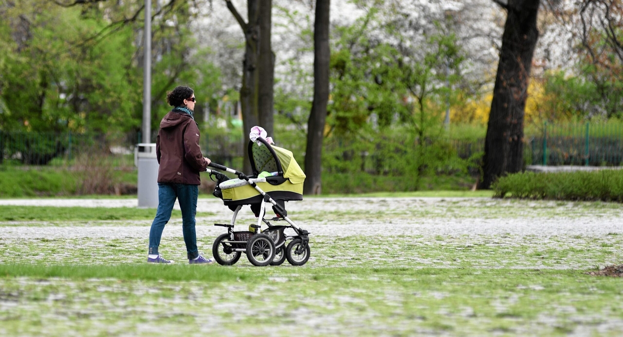 Poland's fertility rate fell to new low in 2024