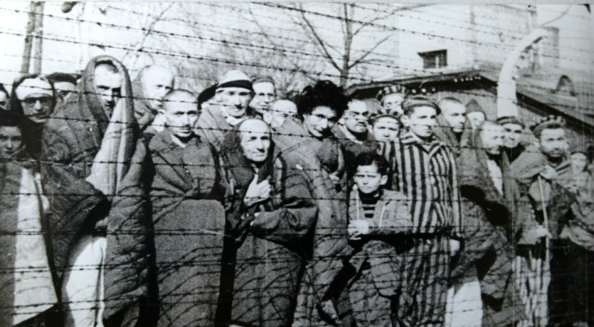 Il Museo di Auschwitz critica l'intelligenza artificiale di Musk per aver aggiunto i dreadlocks a una vittima dell'Olocausto