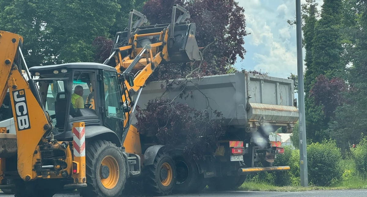 Żmigród después de la tormenta: la eliminación de los efectos está en marcha