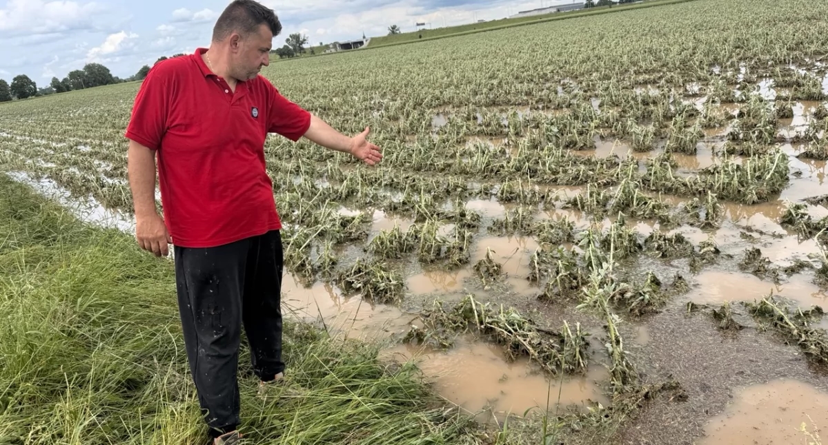10 minut grozy i ogromne zniszczenia. Rolnicy są załamani