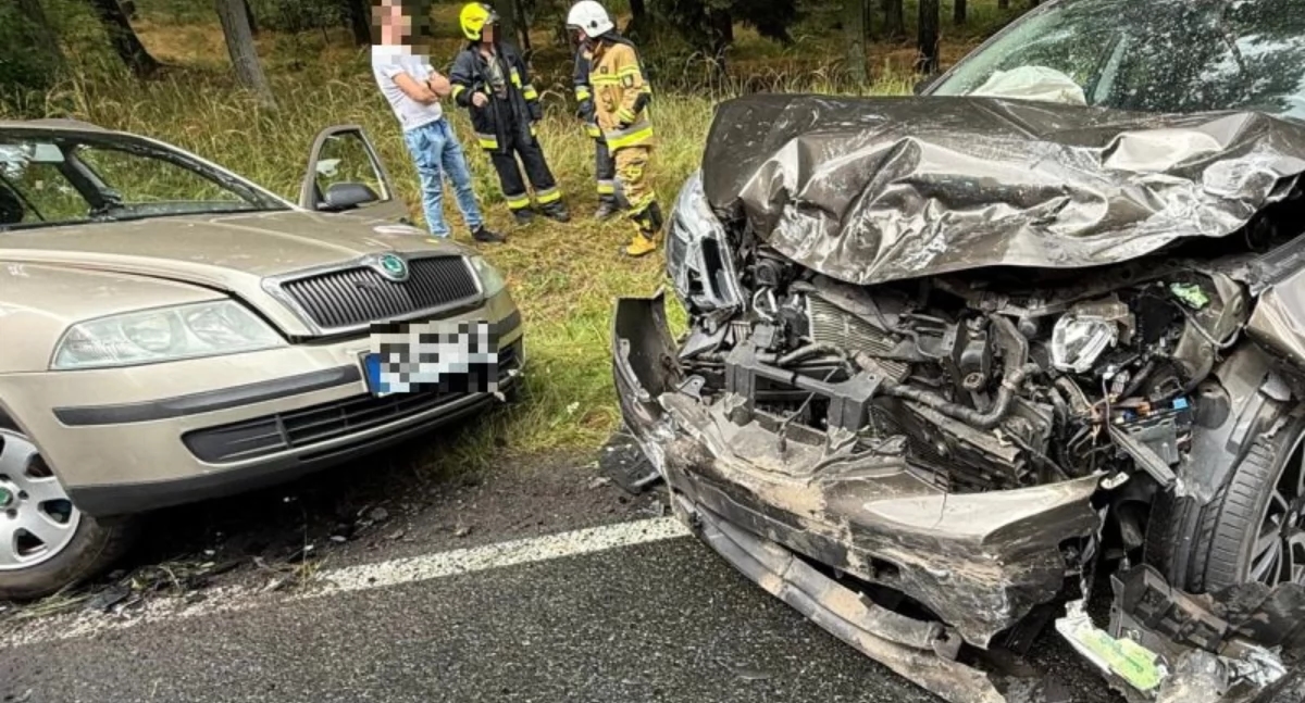 Un perro murió en el maletero. ¿Cómo transportar una mascota en el coche?