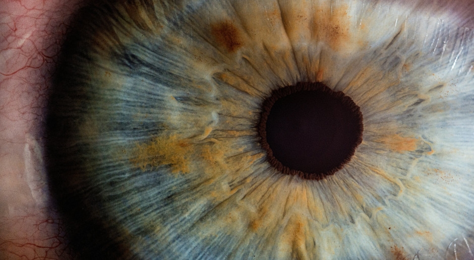 Il colore dei tuoi occhi rivela il tuo livello di intelligenza? Questa teoria affascina molti esperti
