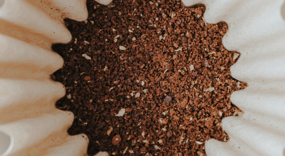 Eine Tasse Kaffee als Elixier für ein langes Leben? Neue Forschung konzentriert sich vor allem auf Frauen