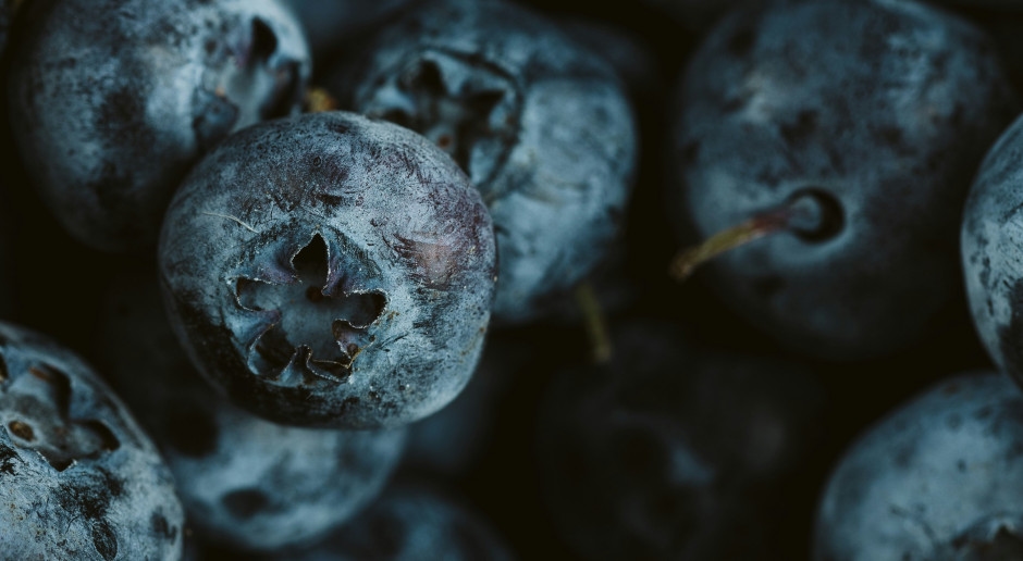 These Summer Fruits Promote Longevity. Eat Them Without Guilt