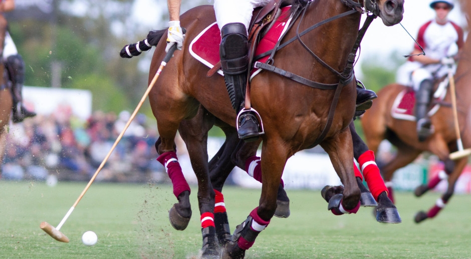 Tragic death of one of the richest men in the world at a polo match. He was a friend of Prince William