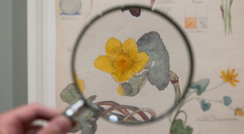 El espíritu de las plantas oculto en la acuarela: exposición exclusiva de Hilma af Klint en el MoMA de Nueva York