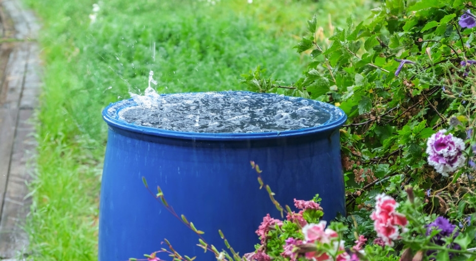 ¿Recoges agua de lluvia? El gobierno local todavía puede pagarte extra