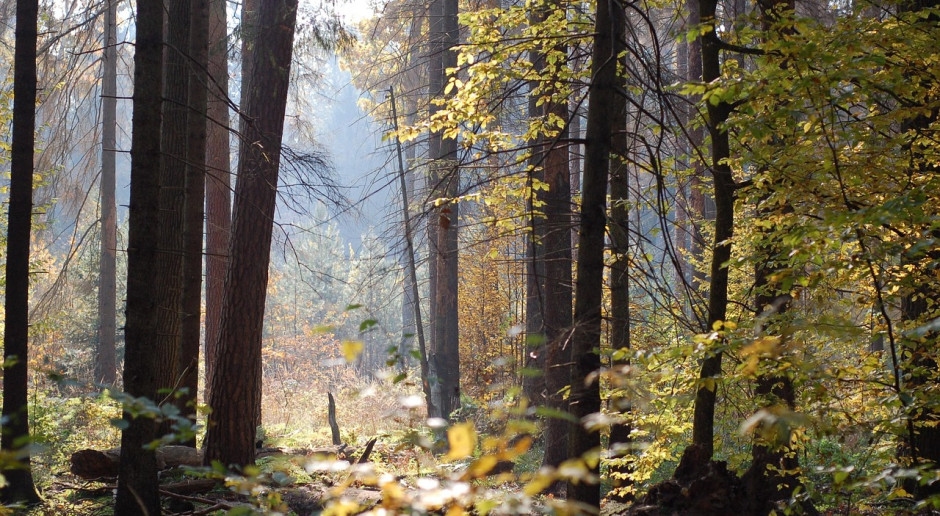 Today is the national parks holiday. We have 23 of them in Poland [MAP]