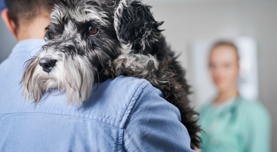 Multa de até PLN 5.000. Nova ordem para donos de cães e gatos