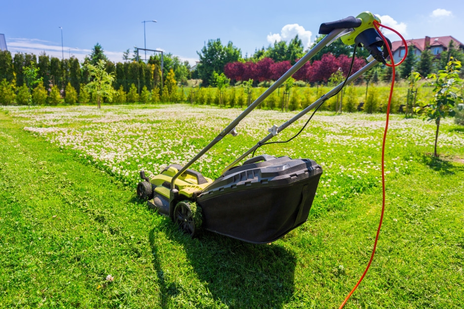 6 thousand times more poisonous than cyanide. There is no antidote. Poles plant in gardens
