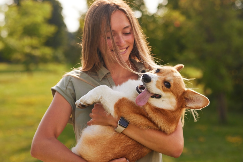 De nieuwe 500 plus is begonnen. Financiering voor honden en katten - controleer of uw huisdier aan de voorwaarden voldoet