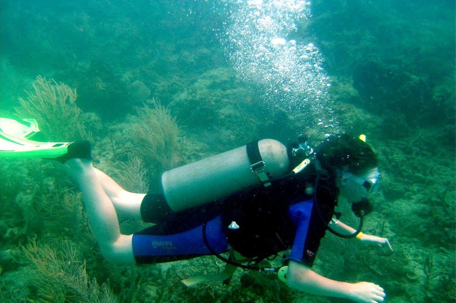Cousteau'nun kurduğu şirket Avusturyalı bir şirket tarafından devralındı