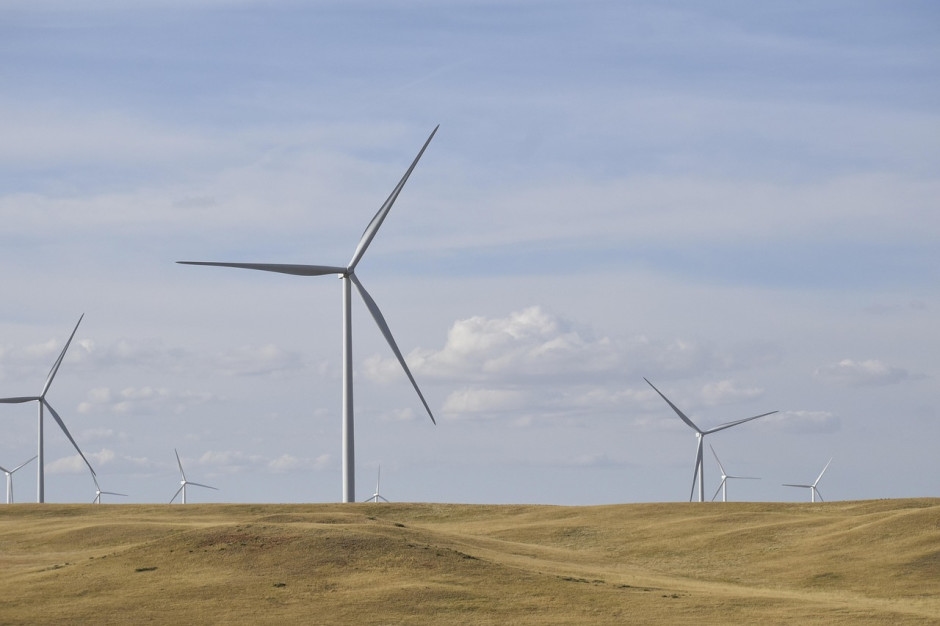 The state must have control over energy networks. However, there are visible weaknesses.