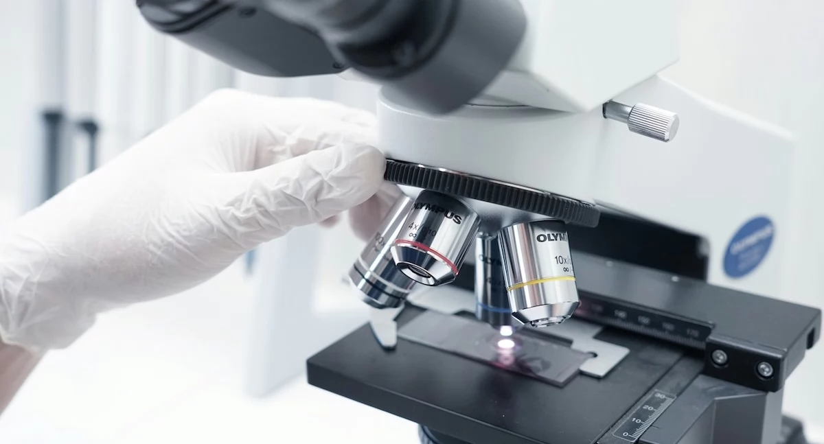 Avance en la investigación de la diabetes: ¿Las bacterias intestinales son un Ozempic natural?