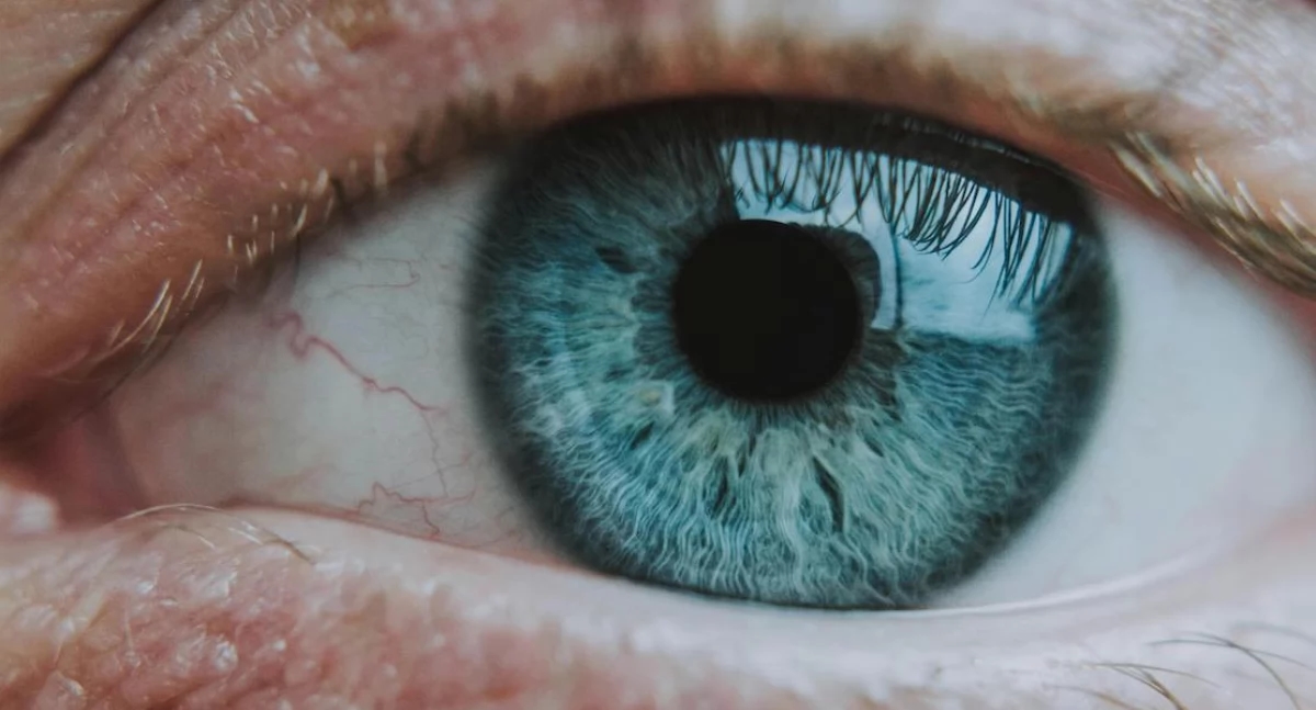 Nueva esperanza para los pacientes con glaucoma: terapia genética en lugar de gotas diarias
