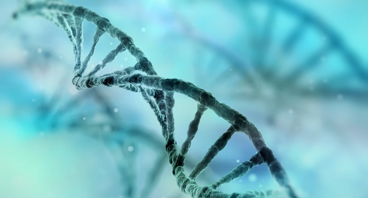 Gli scienziati polacchi hanno fatto una scoperta rivoluzionaria che aiuterà nella cura di malattie genetiche rare.