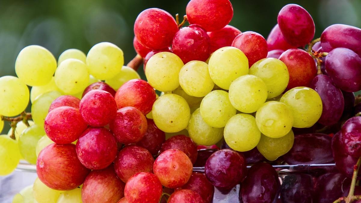 Il ne suffit pas de se laver à l’eau. Une façon simple de nettoyer les fruits