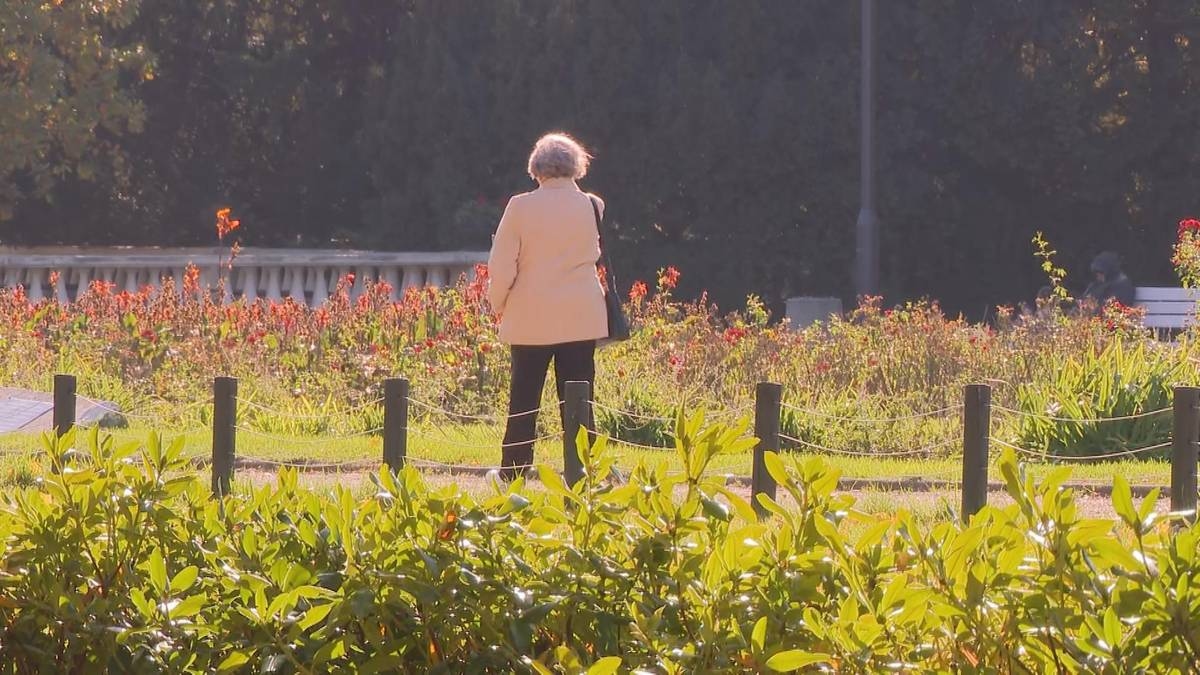 Grandes mudanças na psique dos idosos. Especialista explica o que acontece no cérebro na velhice