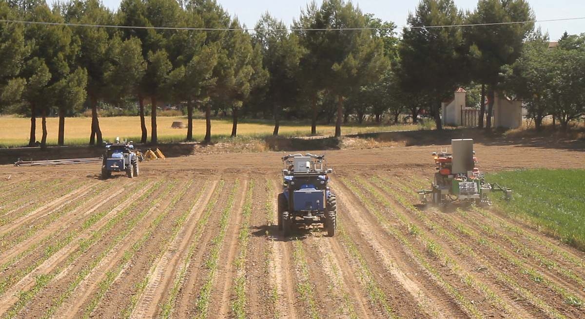 Castilla y León ist erneut die Gemeinde mit der größten durchschnittlichen Größe der landwirtschaftlichen Betriebe, 75 Hektar