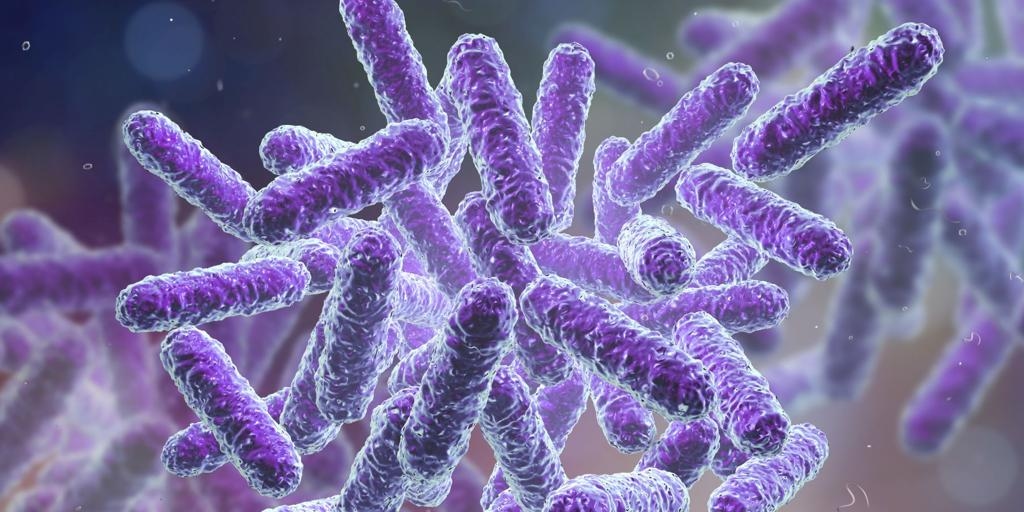 E. coli- und Listerieninfektionen erreichen in der EU Rekordhöhe