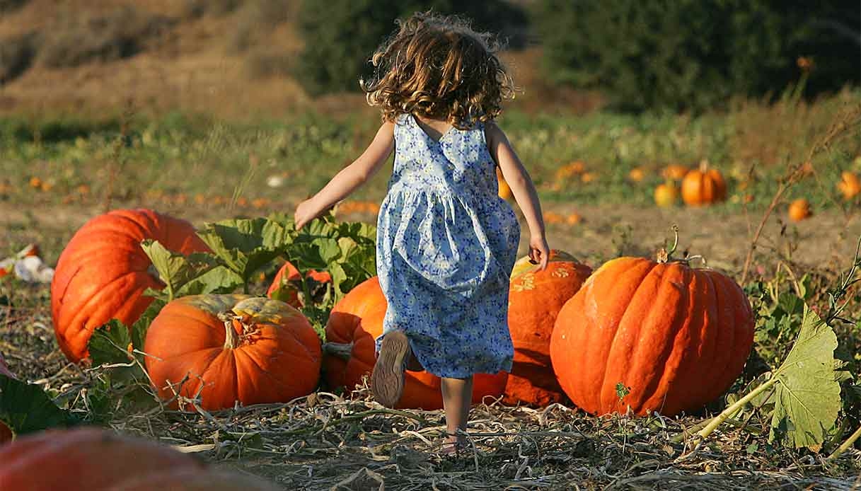 Осень 2025 года в Pumpkin Patch Tulipania, самой живописной тыквенной плантации Италии.