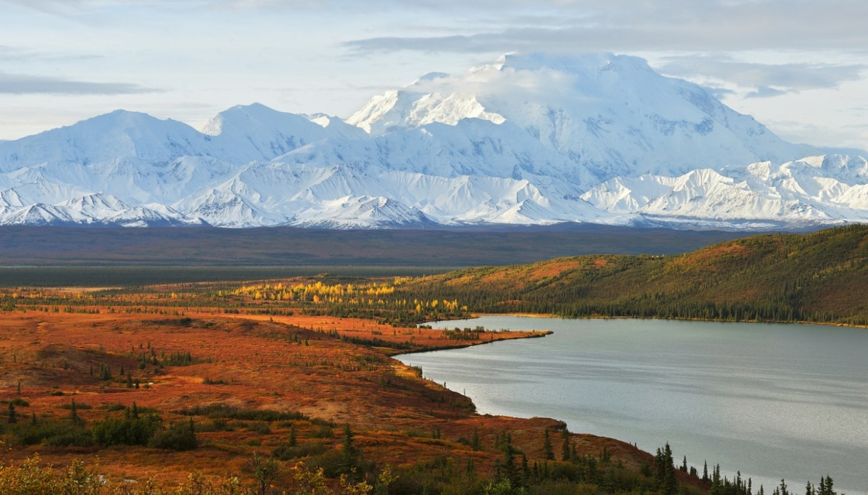 Sur la route en Alaska entre glaciers, orignaux et ours