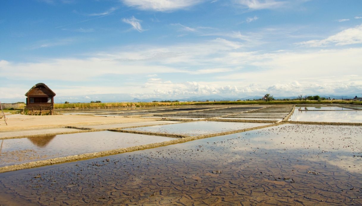 Salina di Cervia: where white gold meets nature and memory