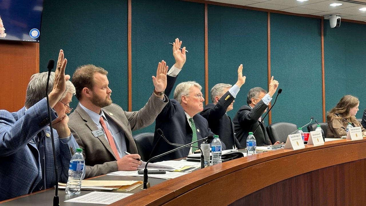 Projeto de lei da Geórgia aprovado no Senado estadual é comparado ao 'DOGE Lite'