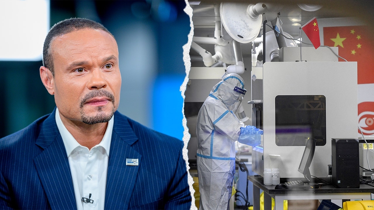 L'FBI esamina la "copertura" dell'origine del COVID-19 in seguito all'emergere di un nuovo ceppo: Bongino