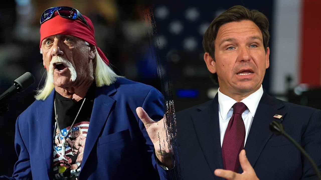 Heckler hijacks Florida governor's Hulk Hogan tribute with profane tirade against 'Alligator Alcatraz'
