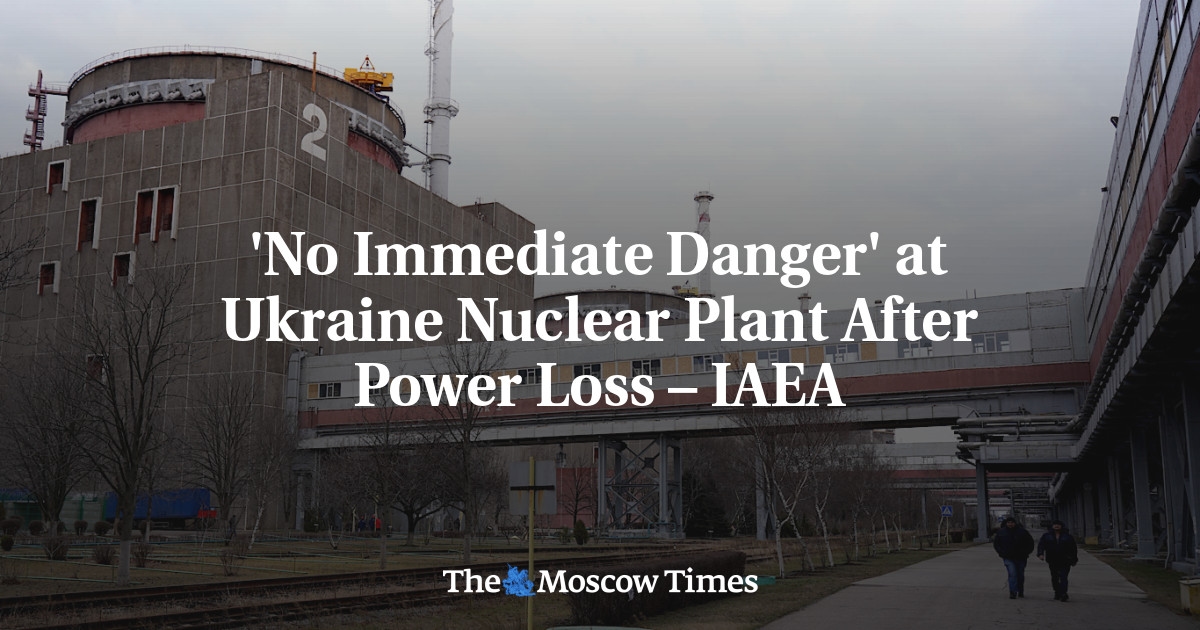 'No Immediate Danger' at Ukraine Nuclear Plant After Power Loss – IAEA