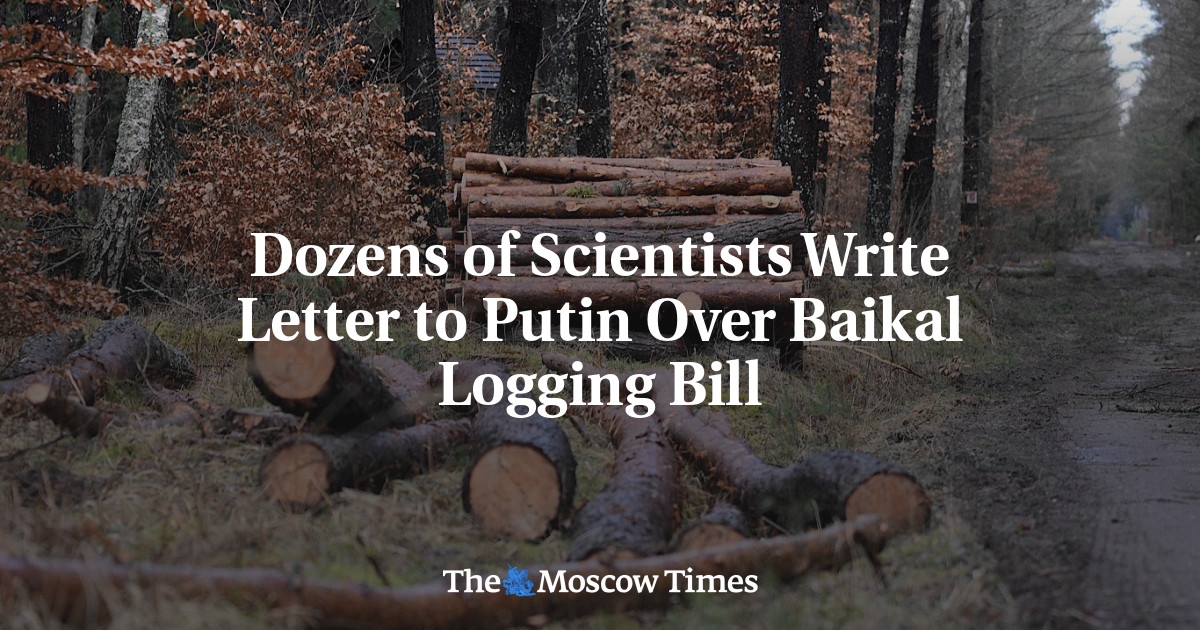 Dezenas de cientistas escrevem carta a Putin sobre projeto de lei de exploração madeireira no Baikal