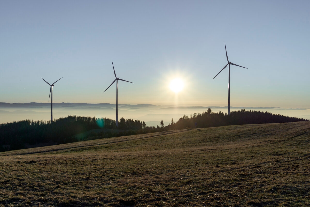 Obstacles à la transition énergétique : l'énergie éolienne dans le sud-ouest échoue souvent à cause des coûts