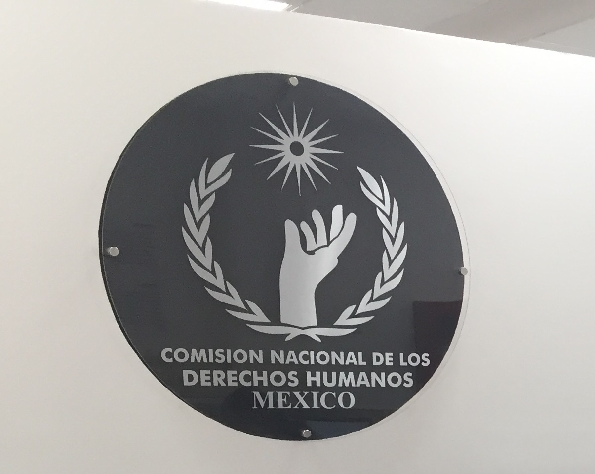 Ulusal İnsan Hakları Komisyonu (CNDH), yaşanan olayın bir hastanın hayatına mal olmasının ardından Meksika Sosyal Güvenlik Enstitüsü'ne (IMSS) yeni bir tavsiyede bulundu.