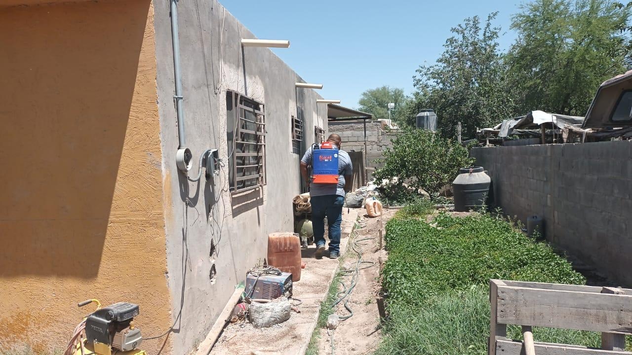 Registran cuatro decesos por picadura de garrapata en La Laguna