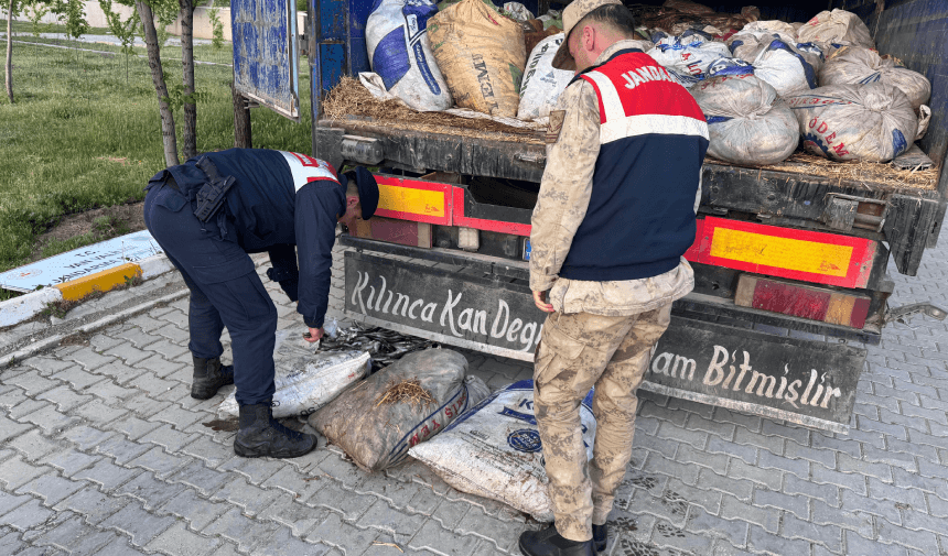 Ils n'ont pas reconnu l'interdiction de chasser ! Exactement 19 tonnes ont été saisies.