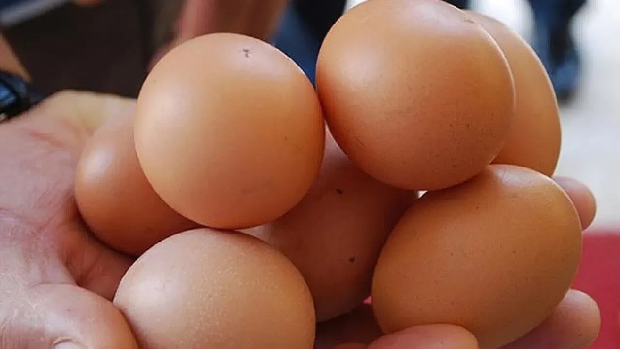 ¿Son los huevos malos para el corazón? Opinión crítica de un experto.