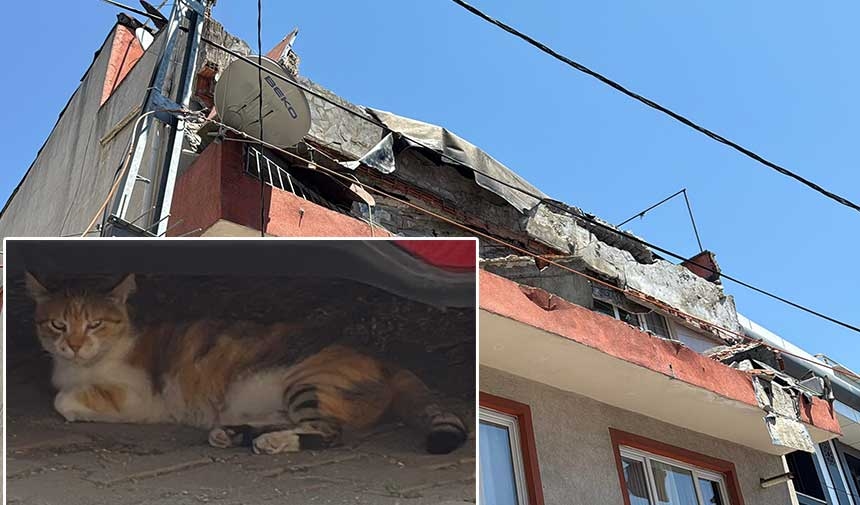 Un balcón se derrumbó solo en Kağıthane, escapándose por poco de la muerte para un gato.