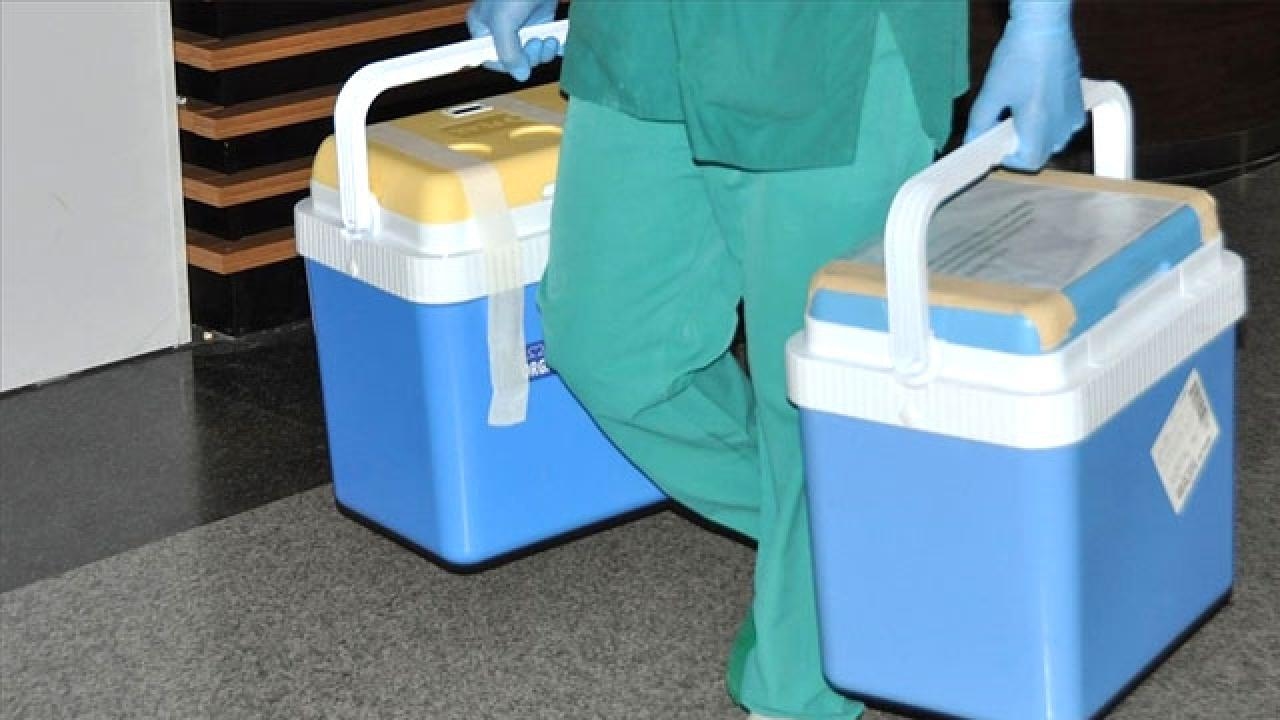 The organs of a brain-dead woman brought hope to three people.
