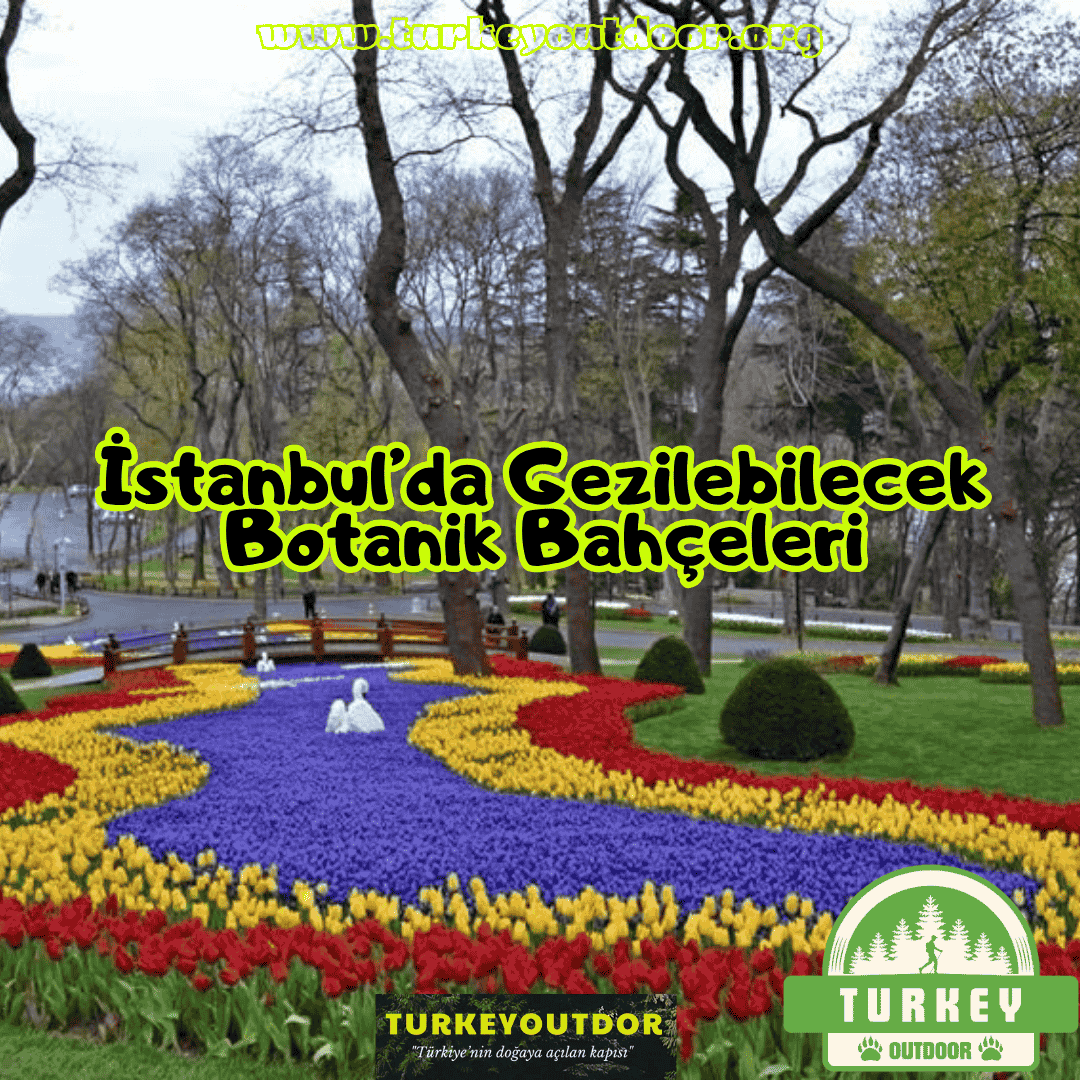 Botanical Gardens to Visit in Istanbul